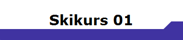 Skikurs 01