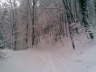 Bild 03