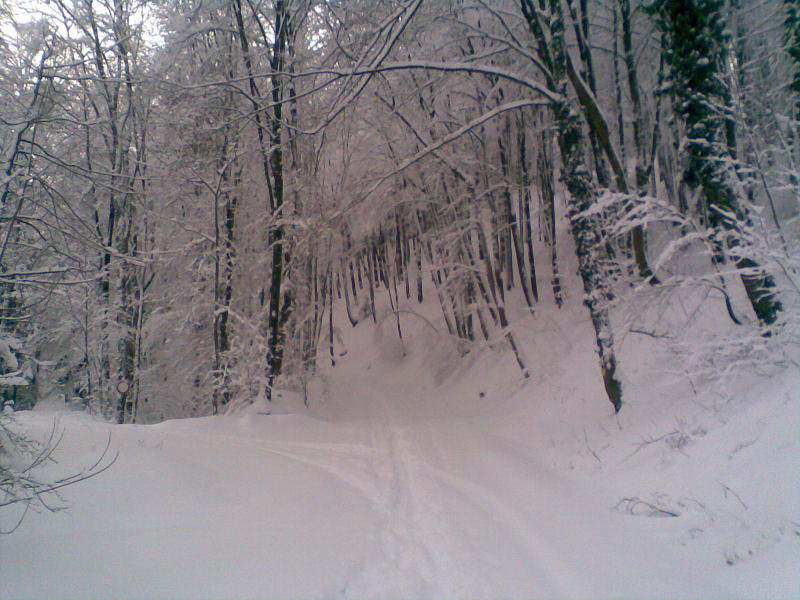 Bild 03