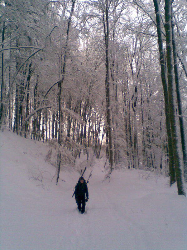 Bild 04