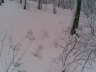 Bild 05
