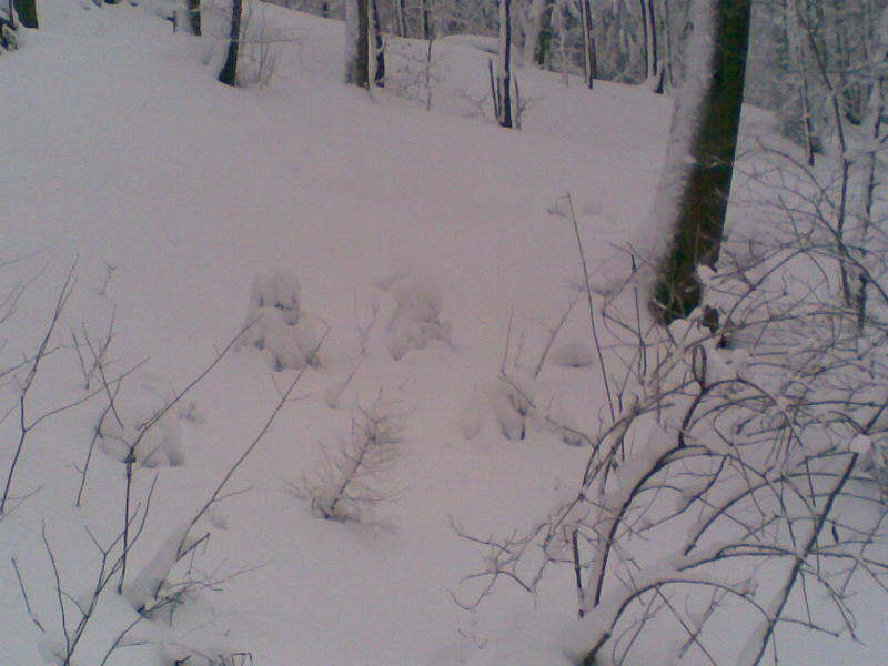 Bild 05