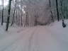 Bild 06
