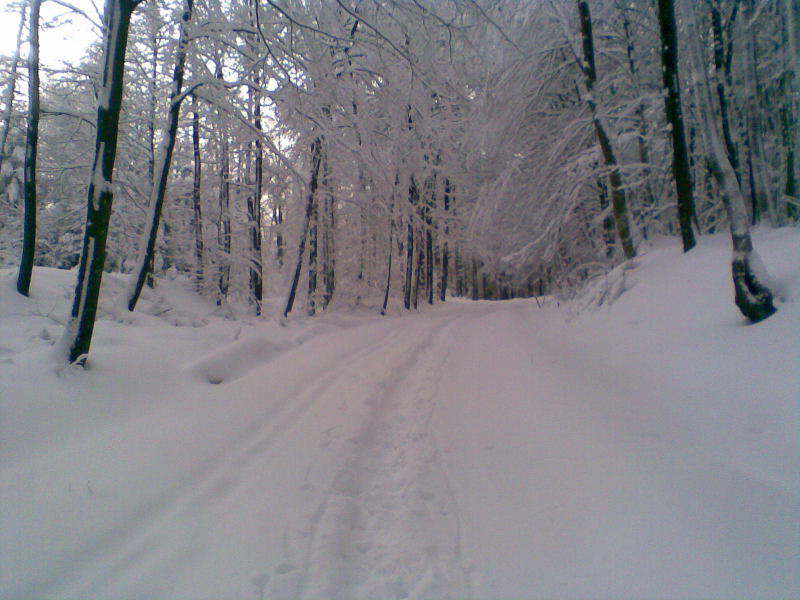 Bild 06