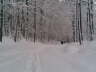 Bild 08