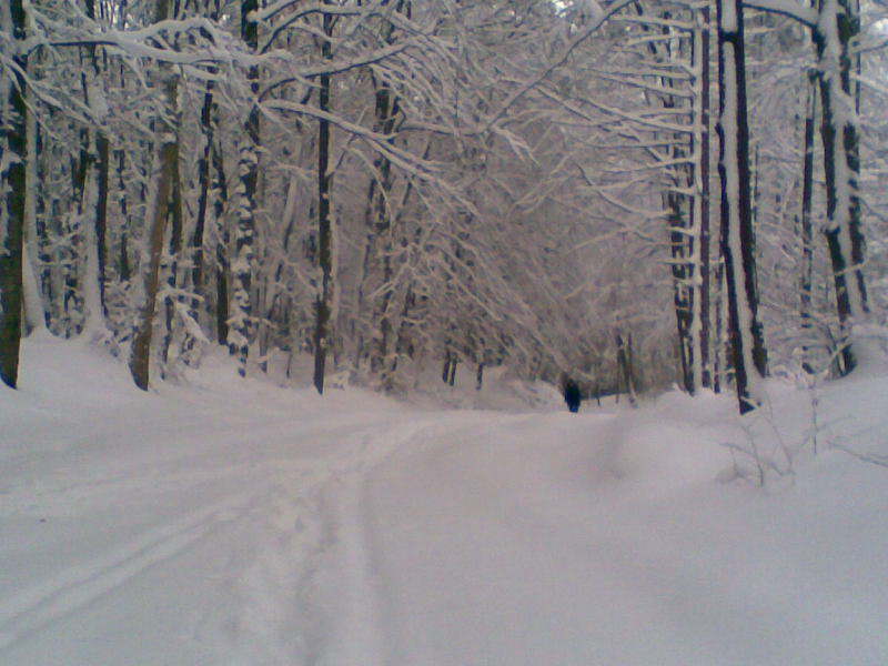 Bild 08