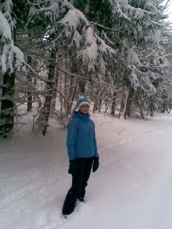 Bild 17