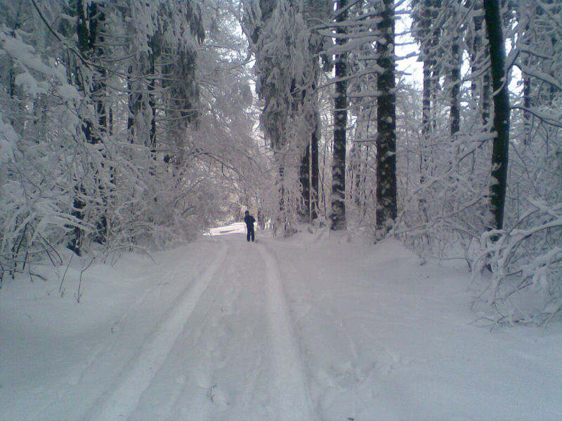 Bild 18
